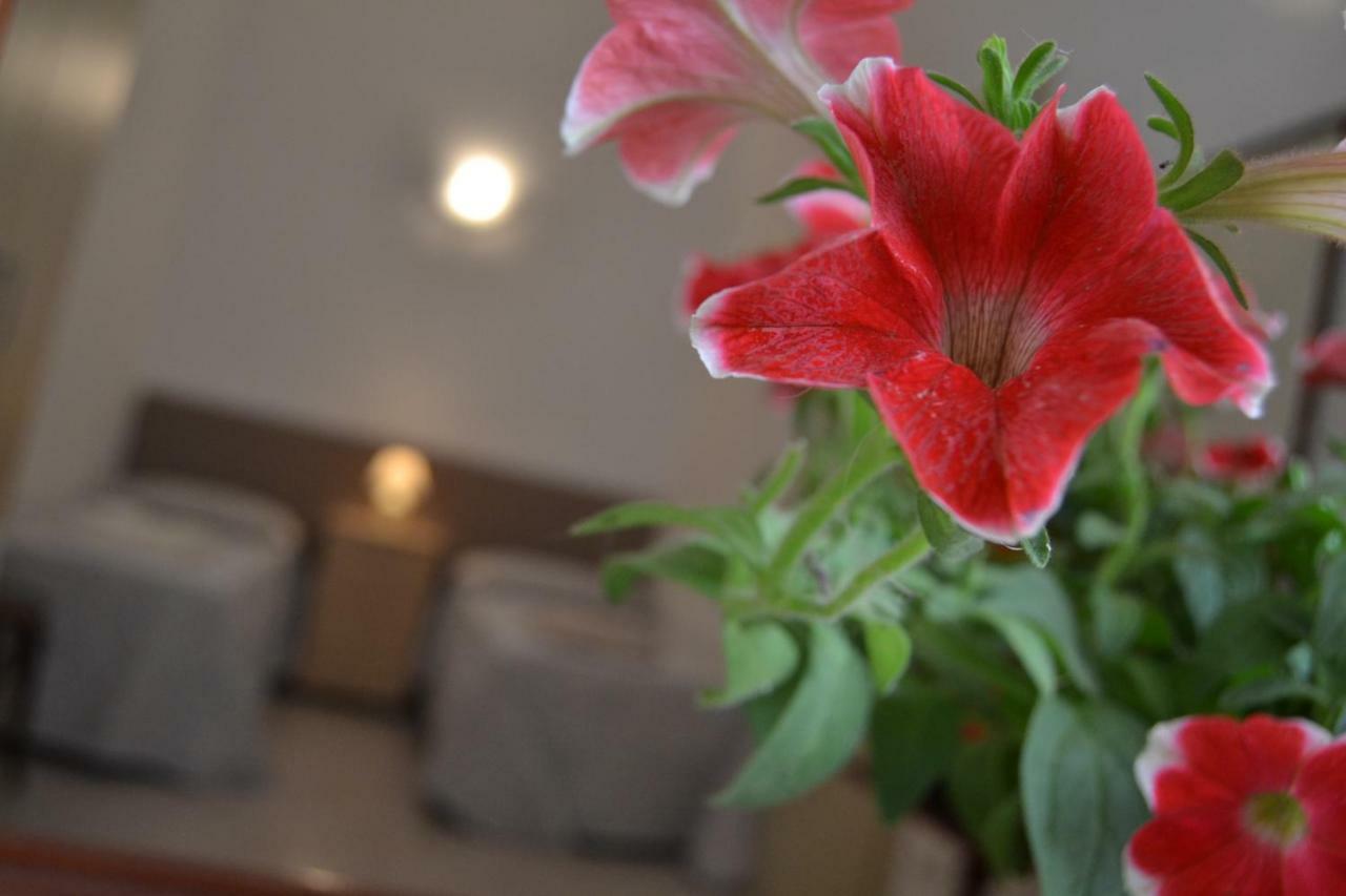 Bed and Breakfast I due Tesori San Cesario di Lecce Esterno foto
